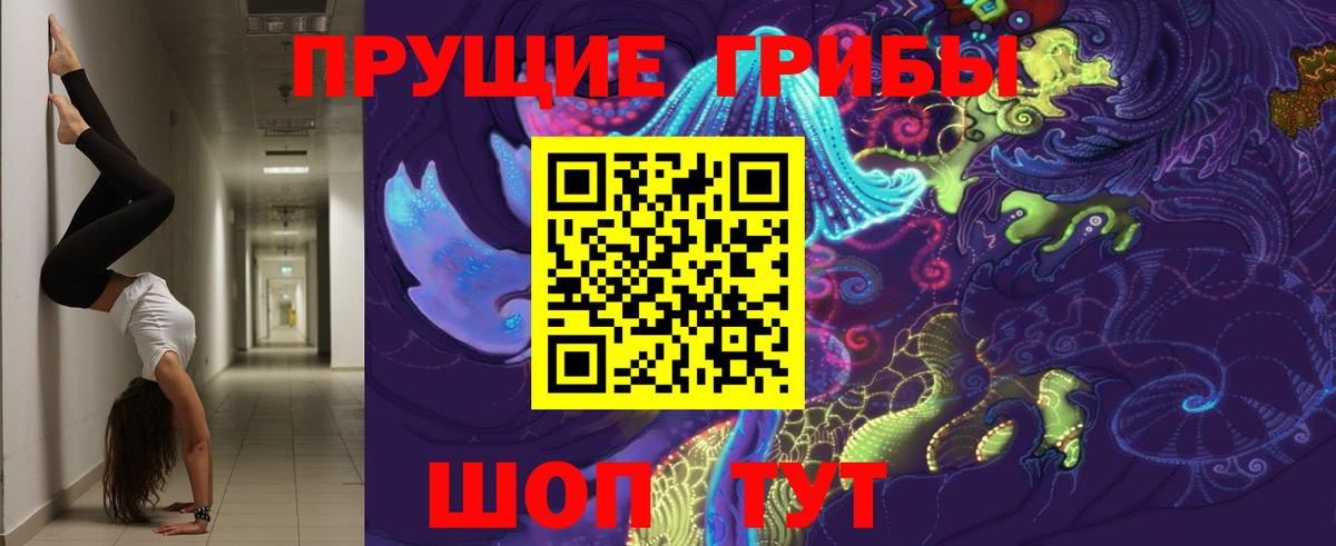 Псилоцибиновые грибы MAGIC MUSHROOMS  Вход с VPN  Галлюциногенные грибы Psilocybine cubensis  Видное 